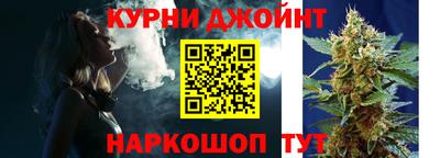 сатива Кингисепп