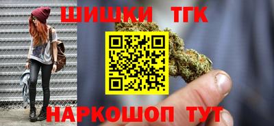 сатива Кингисепп