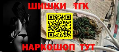 сатива Кингисепп