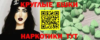 сатива Кингисепп