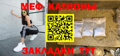 сатива Кингисепп