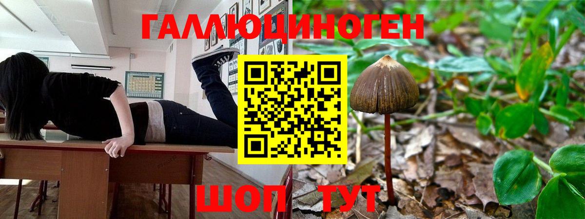 Псилоцибиновые грибы MAGIC MUSHROOMS Котлас